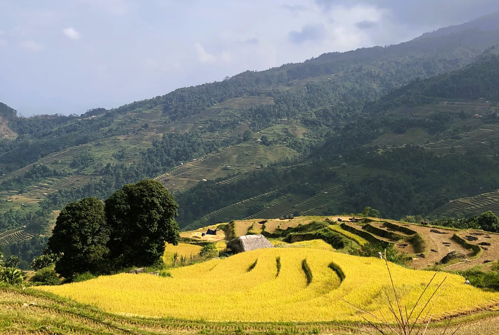 Hiking North Vietnam 8 Day Itinerary